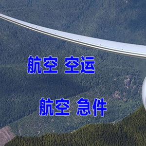 赛乌素航空快递快递-选东方航空和上海航空